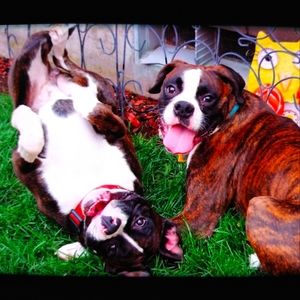 Meet your Posher, Rebekah